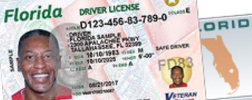 Florida Drivers License Requirements Renewal